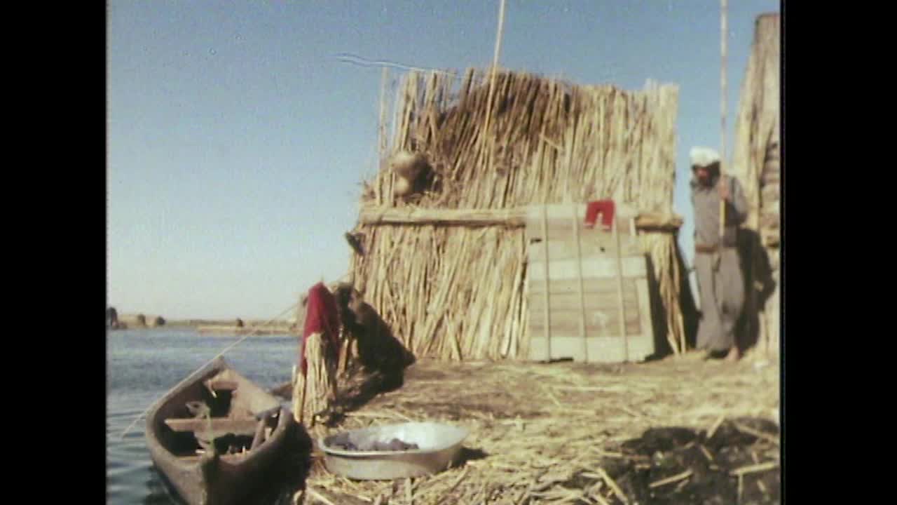 人们出发去伊拉克的沼泽地打猎;1979视频下载