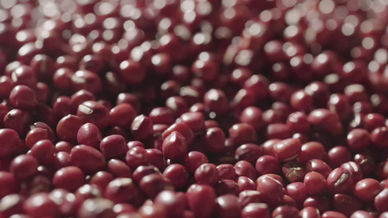 生红小豆有机种子食品，蛋白质健康食品视频下载