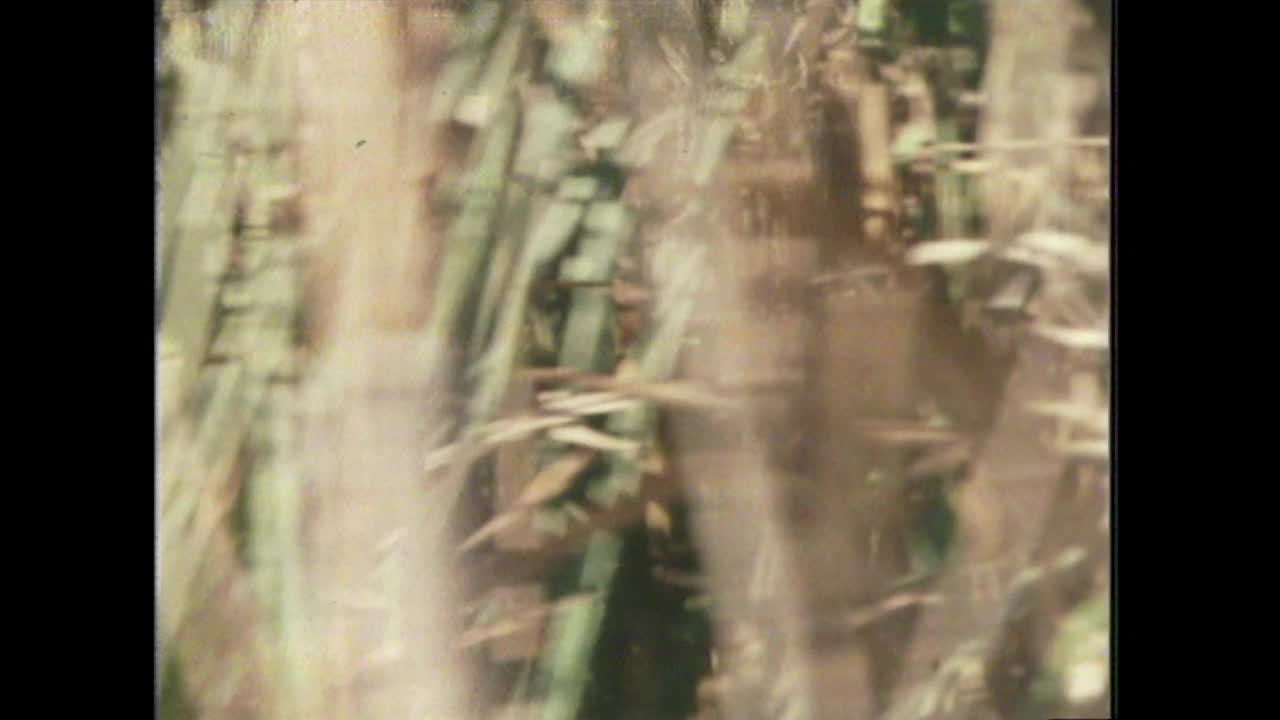 伊拉克，猎人使用独木舟的POV镜头;1979视频素材
