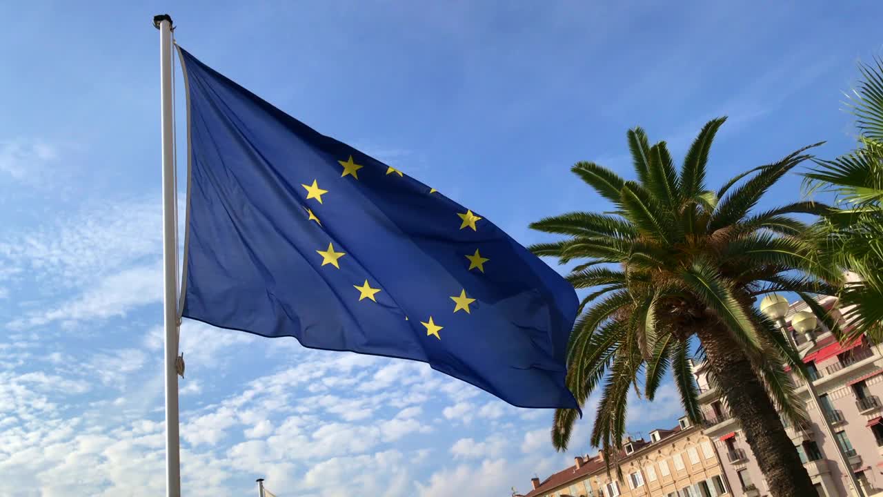 欧盟旗帜在一根杆子上挥舞着一棵棕榈树。视频素材