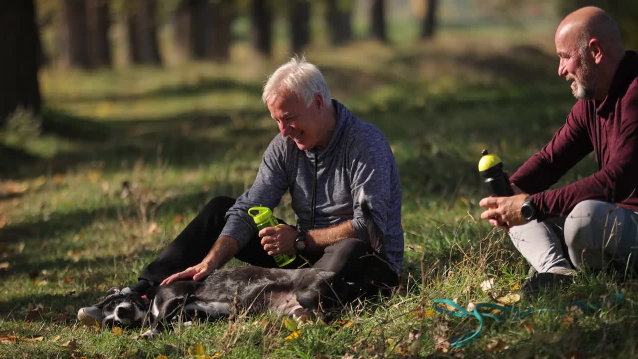 秋日，两名老人和狗狗在大自然中慢跑后坐在草地上视频下载