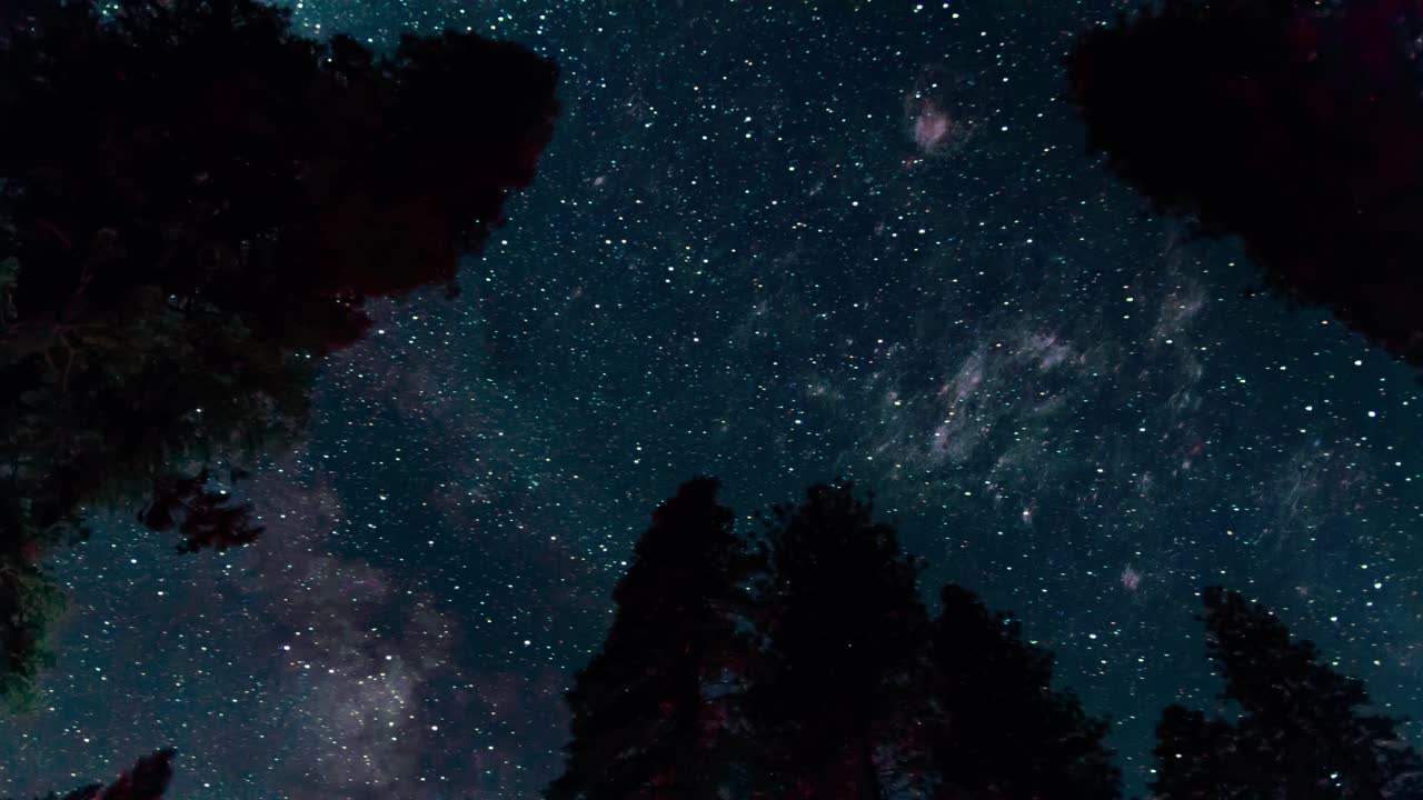银河和流星在树梢之上视频素材
