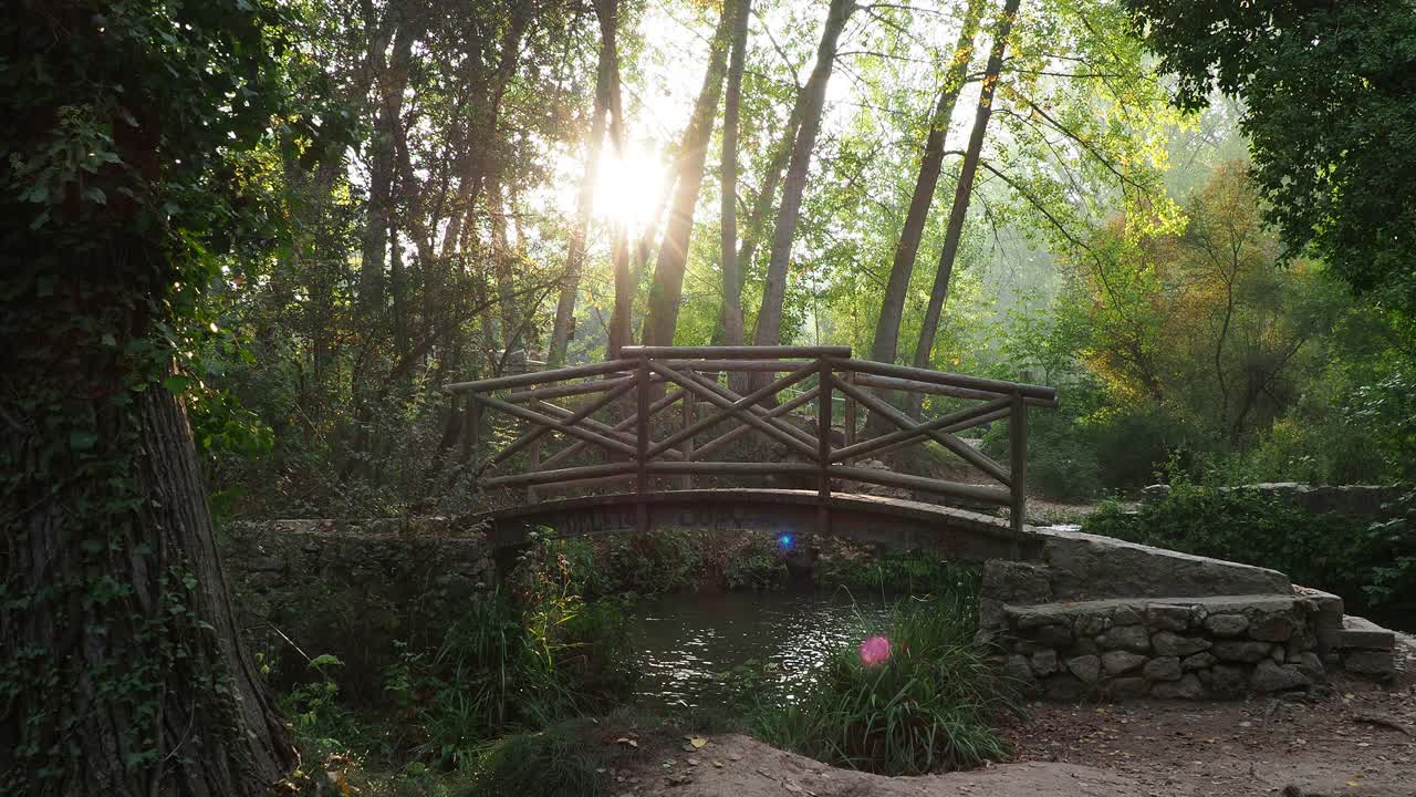 一个春天的早晨，太阳升起，森林里的河上有一座木桥。视频下载