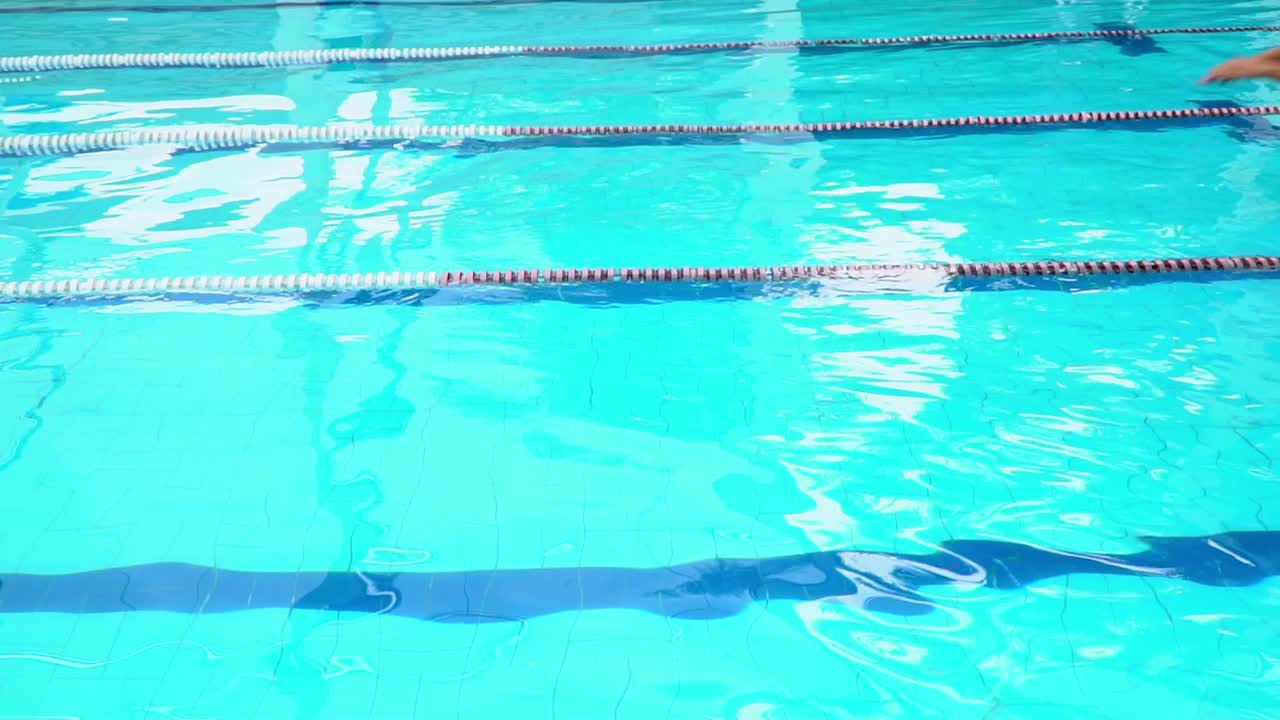 一名年轻人在比赛中用自由泳。视频下载