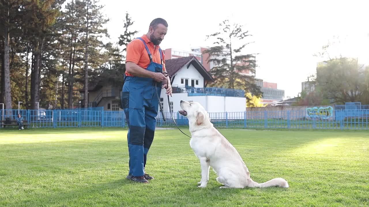 时间学习。一个人在训练他的狗。视频下载
