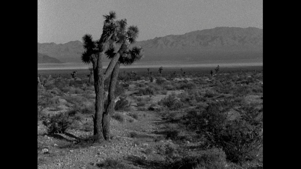 潘离开了约书亚树，去了更广阔的莫哈韦沙漠景观;1960视频素材