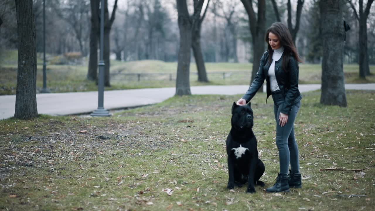 一个女人和她的Cane Corso狗视频下载