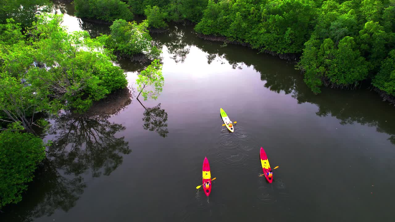 日落场景鸟瞰组游客旅行者或研究人员划桨划艇在淡水河湖发现和探索植物园热带地区的自然，攀牙省，泰国视频下载
