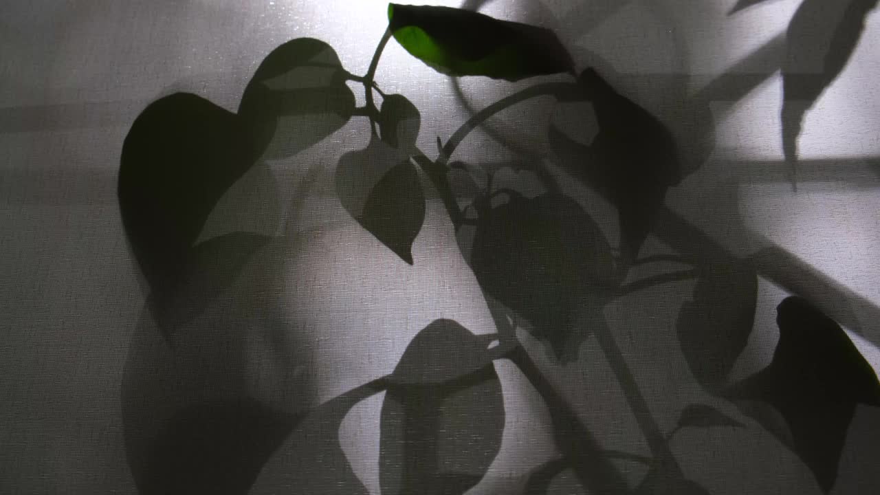 光和阴影上的旧复古米色织物纹理。老式纺织背景。抽象的背景与花卉图案和交叉线阴影。视频下载
