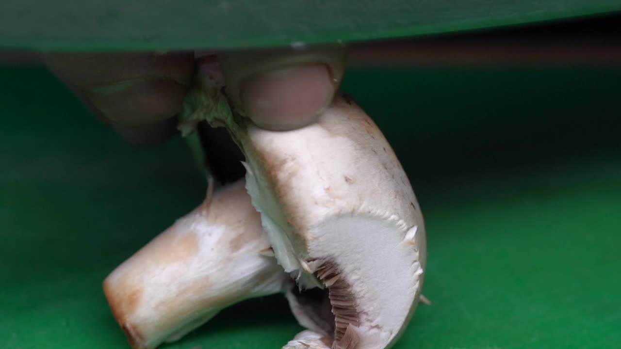 厨师用刀切新鲜蘑菇视频素材