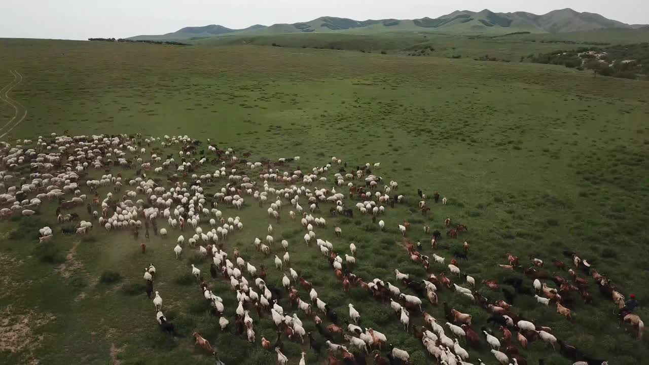 蒙古游牧视频下载