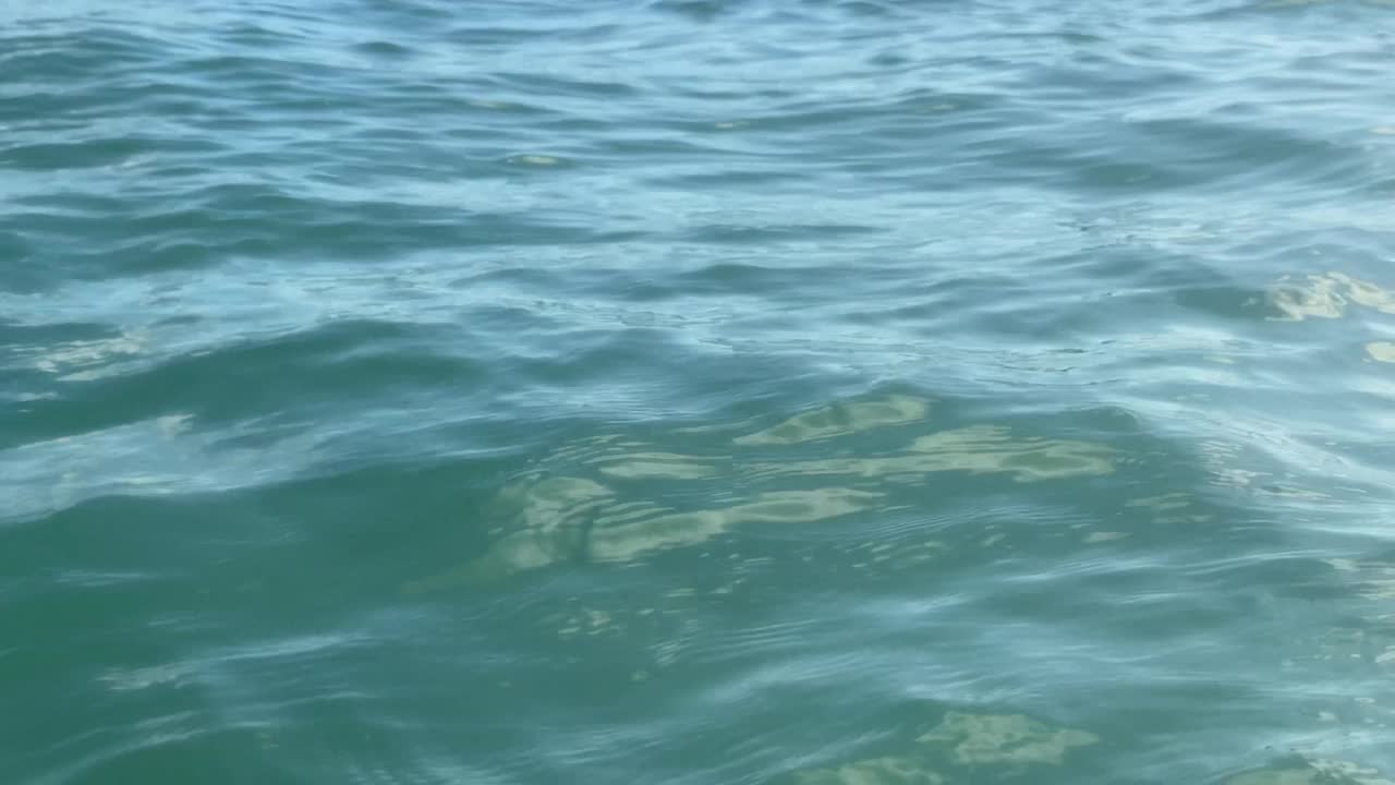 在夏威夷瓦胡岛檀香山的怀基基海滩上冲浪的钻石头和冲浪者。视频素材