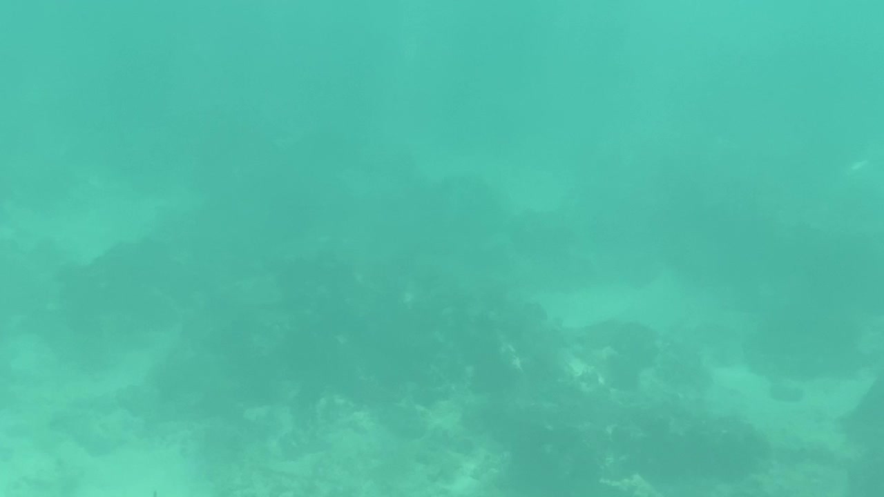 在夏威夷瓦胡岛檀香山的怀基基海滩上冲浪的钻石头和冲浪者。视频素材