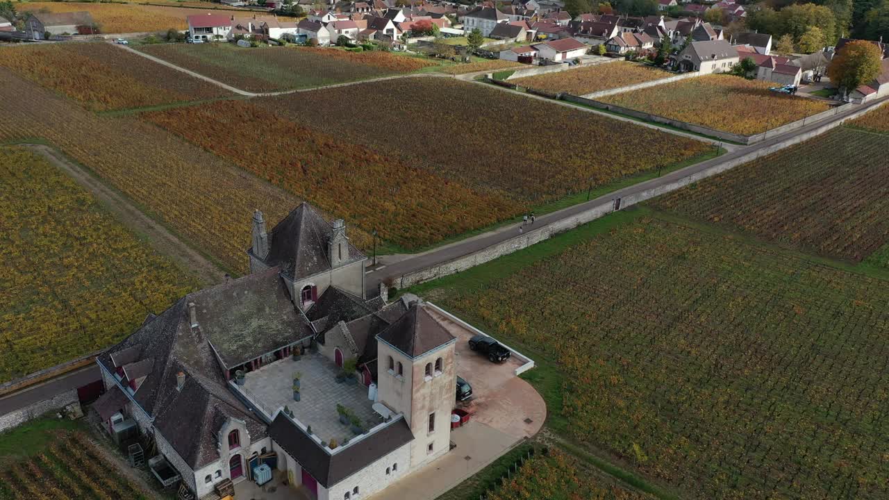 位于法国勃艮第勃艮第的城堡和葡萄园。空中秋天景色。视频下载