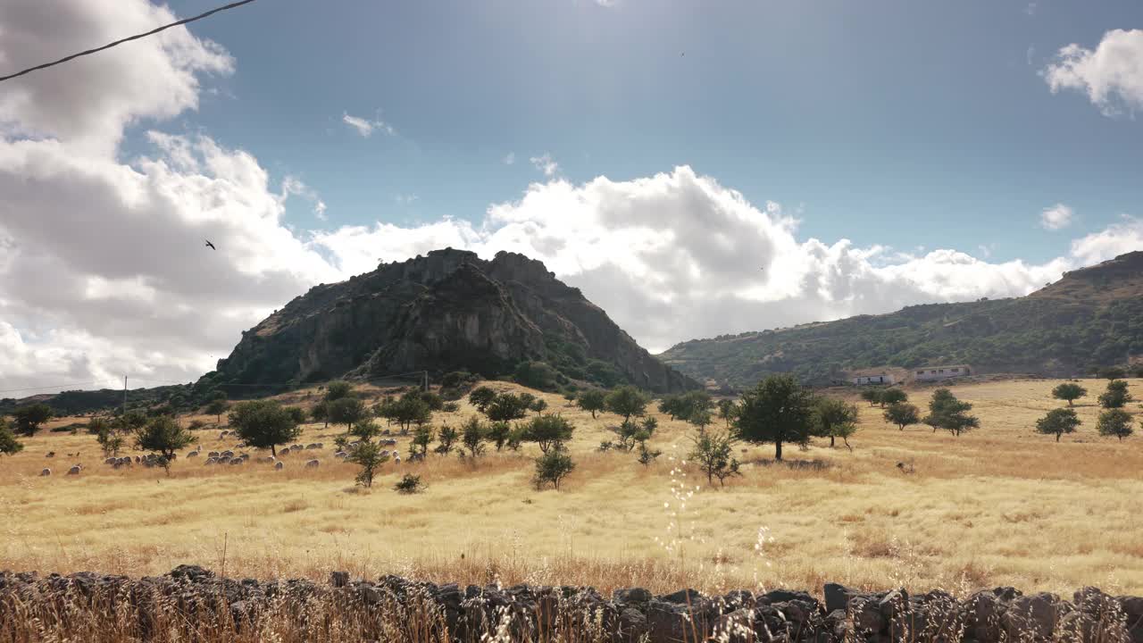 意大利撒丁岛的乡村景色，背景是群山。视频下载