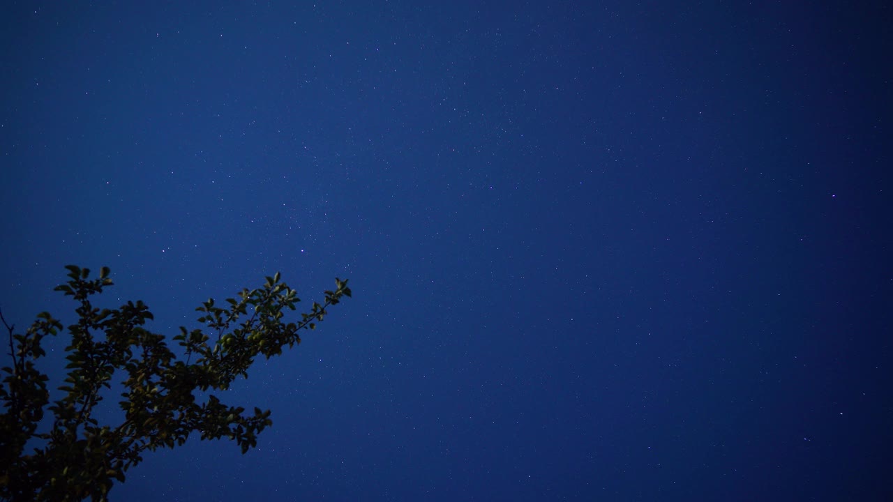 星空透过树枝，时光流逝视频素材