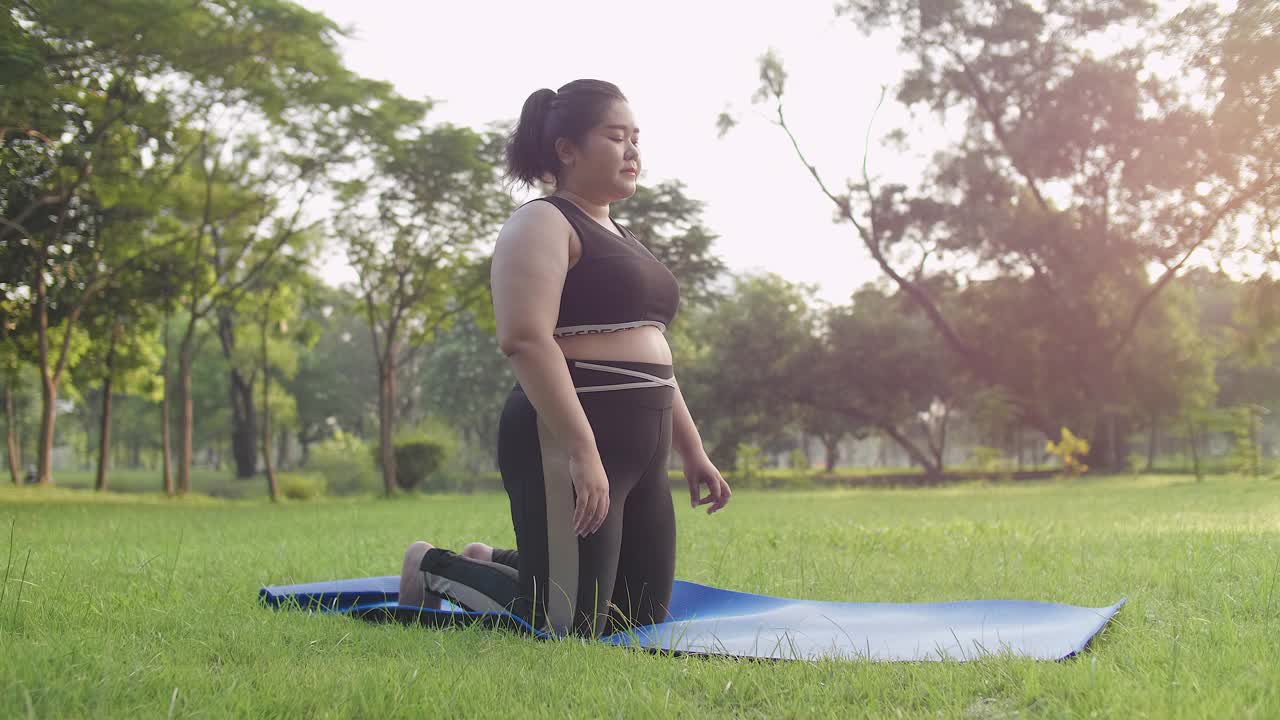 超重妇女在户外公园做平板支撑运动视频下载