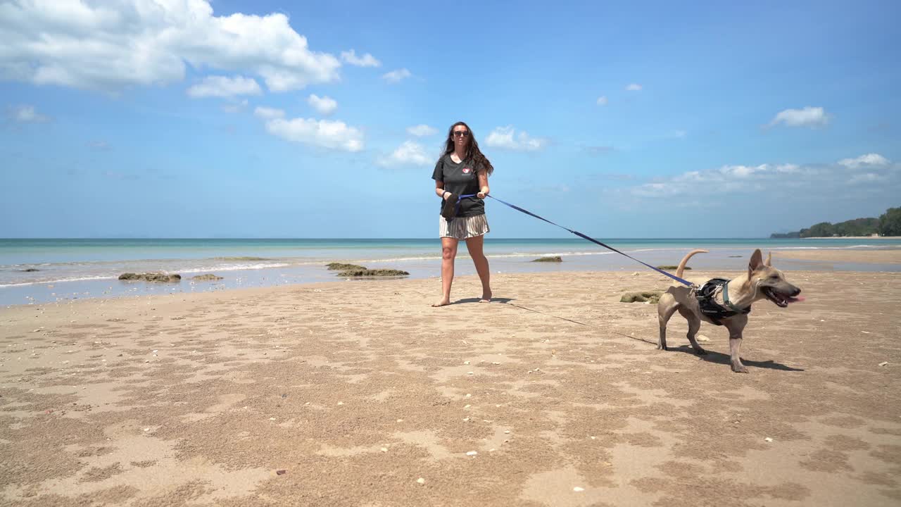被截肢的盲狗与主人在海滩上散步视频下载