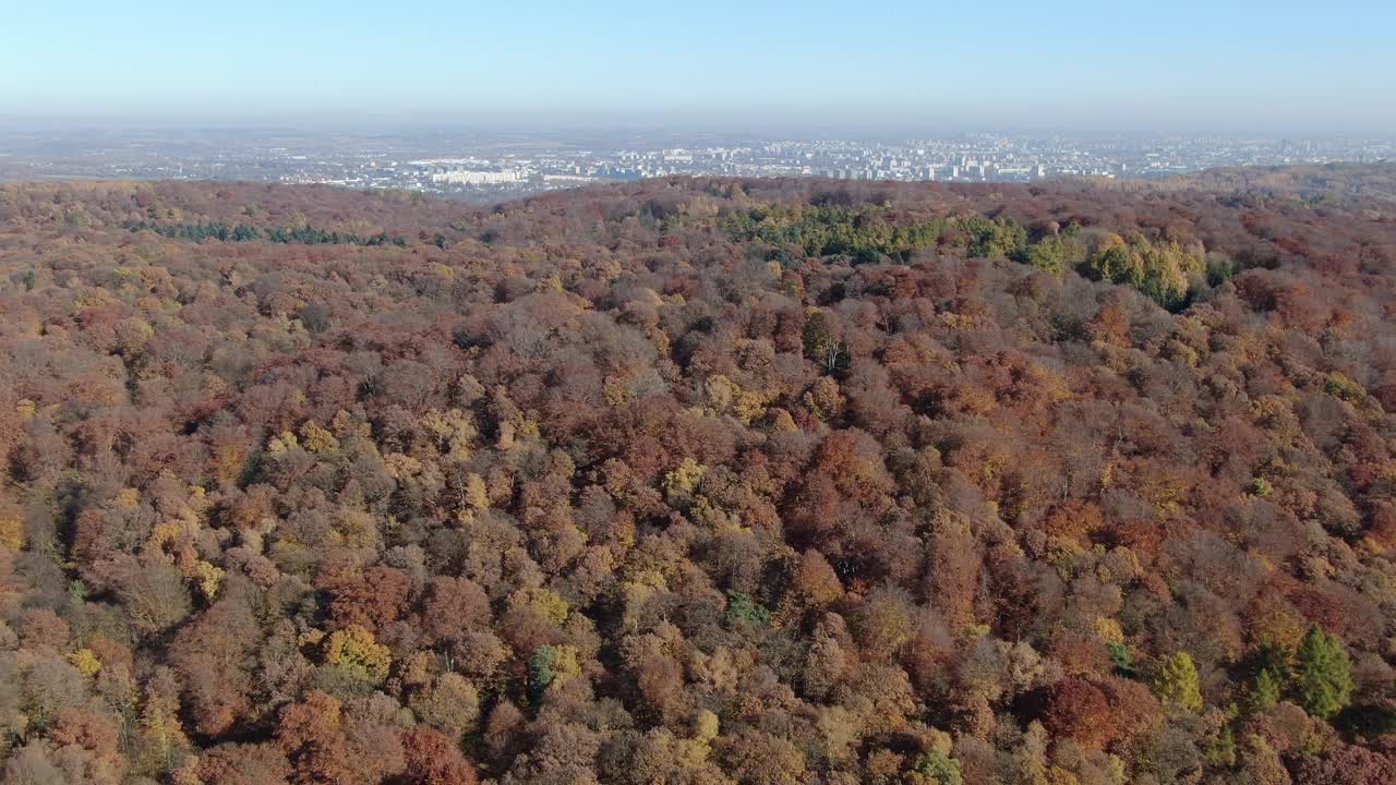 波兰克拉科夫沃斯基森林的秋季飞行视频下载