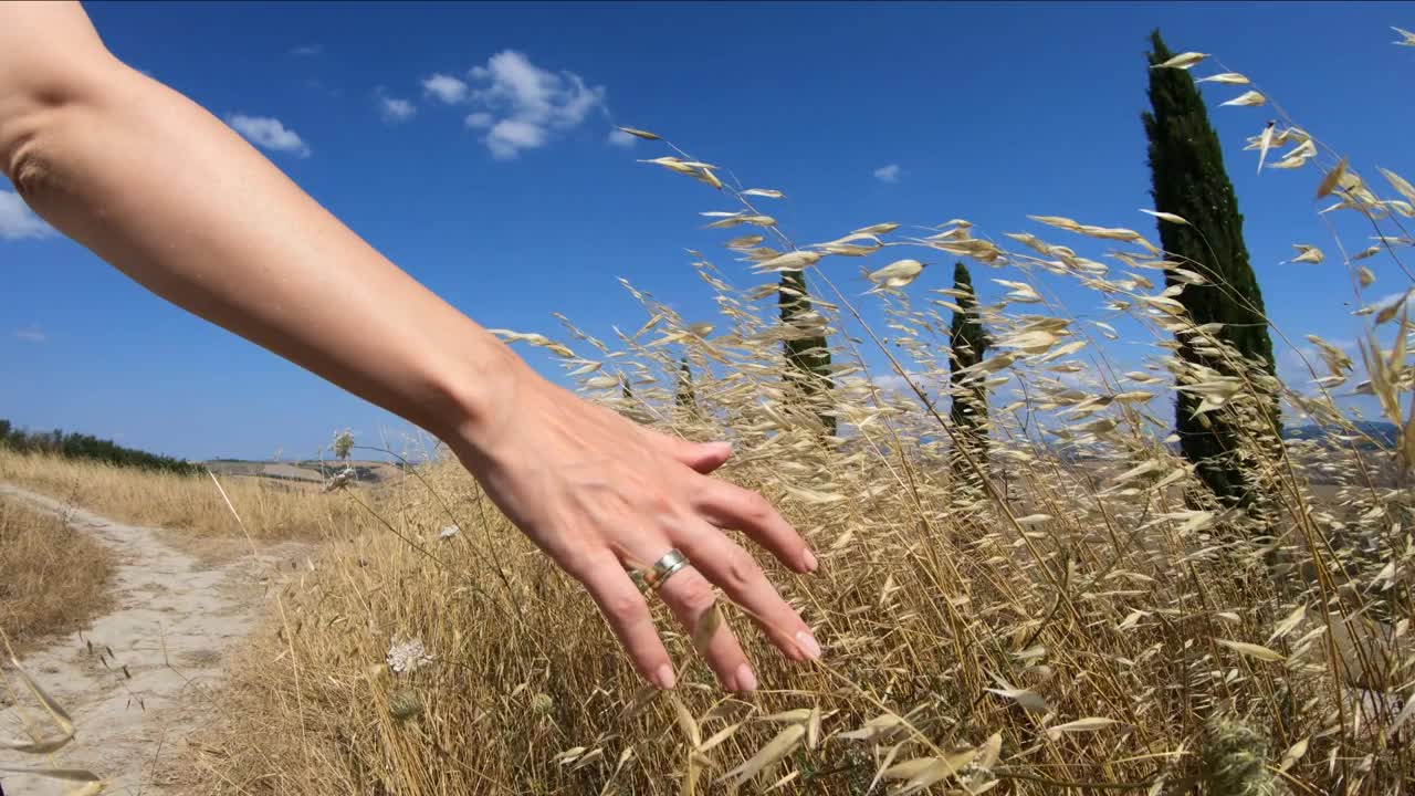 女人的手和托斯卡纳的风景与收获的田野和柏树视频下载