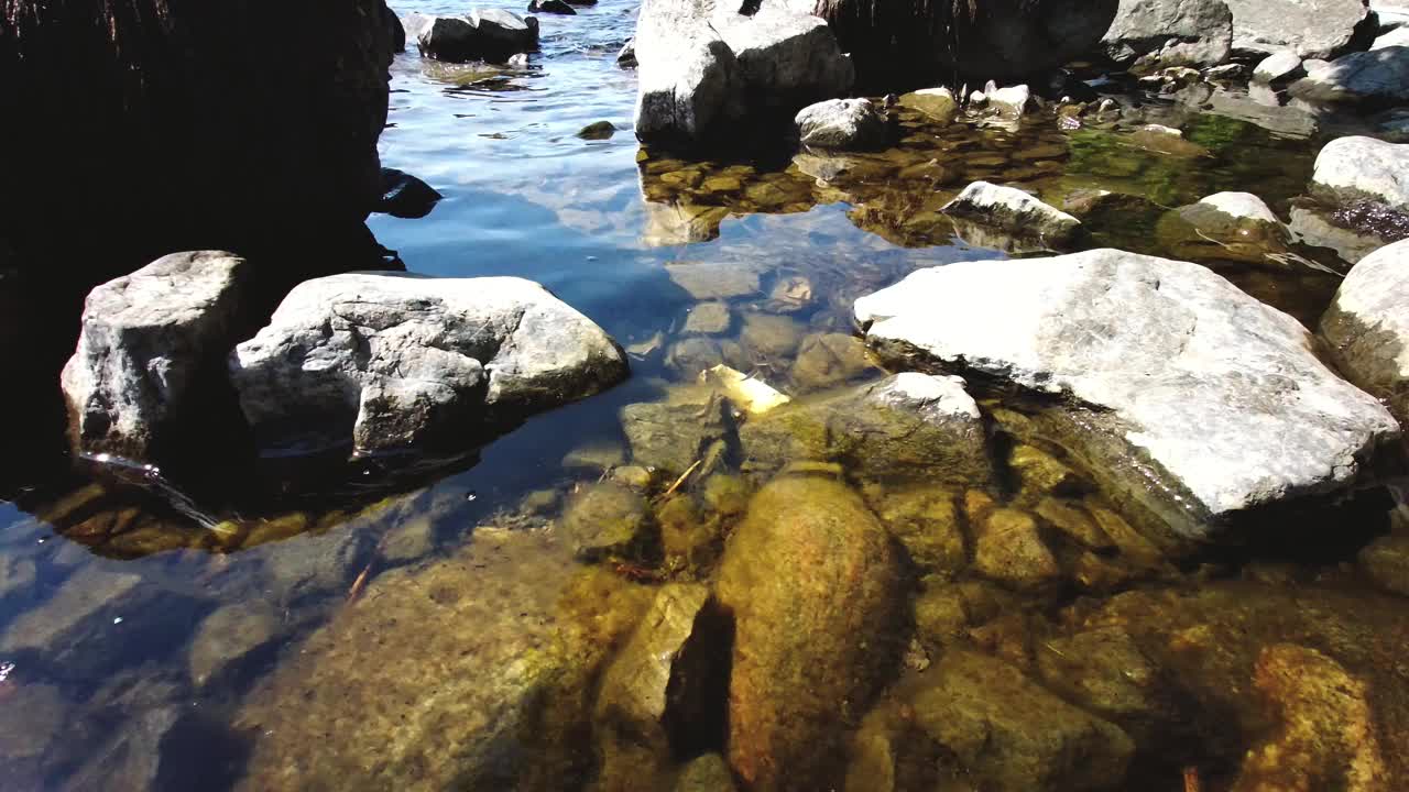 苏格兰尼斯湖常见的鲦鱼视频素材
