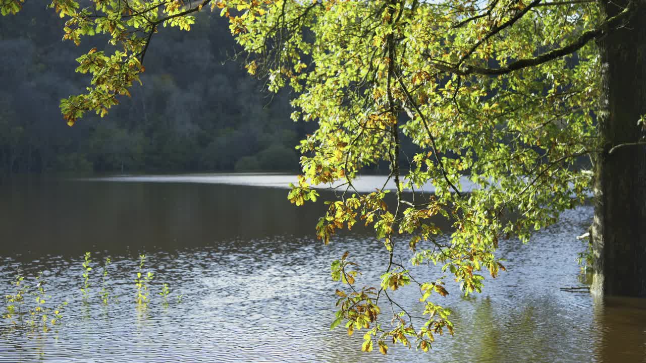 高于平均水平的秋季降雨量淹没了一个湖视频下载