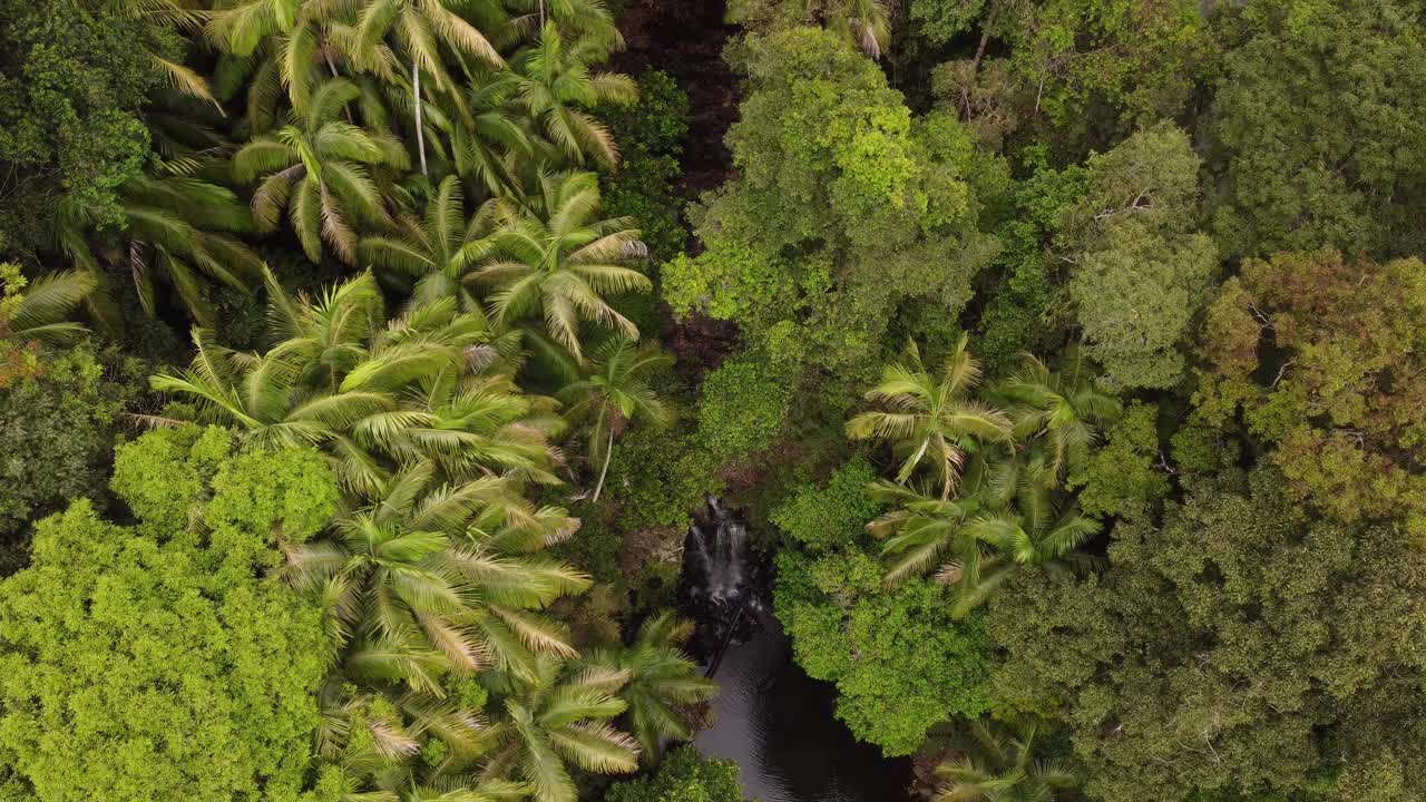 澳大利亚昆士兰州坦伯林山，柯蒂斯瀑布被亚热带雨林包围的鸟瞰图视频下载