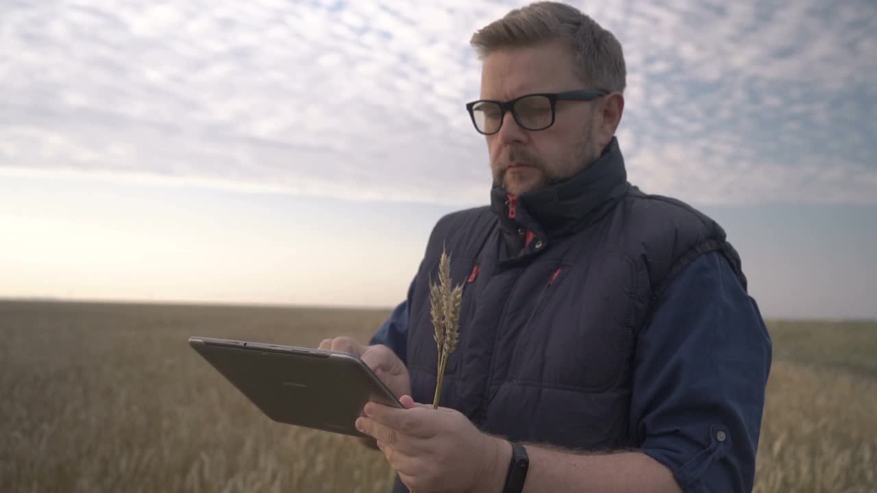 日落时分，一位农民在麦田里用平板电脑干活。商人用数码平板电脑检查麦田里的小麦收成。老农分析粮食收成。视频下载