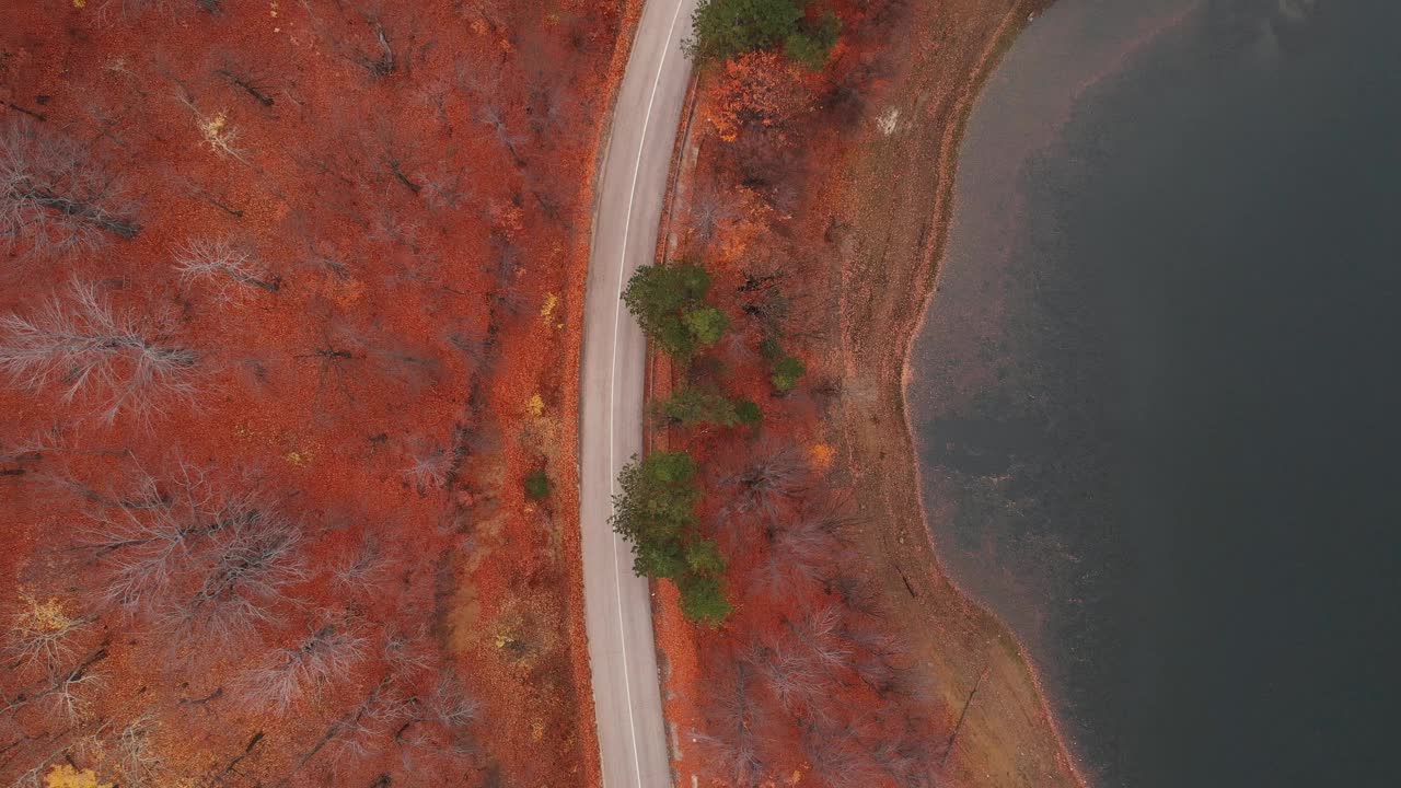 无人机拍摄的秋天树叶和山路视频素材