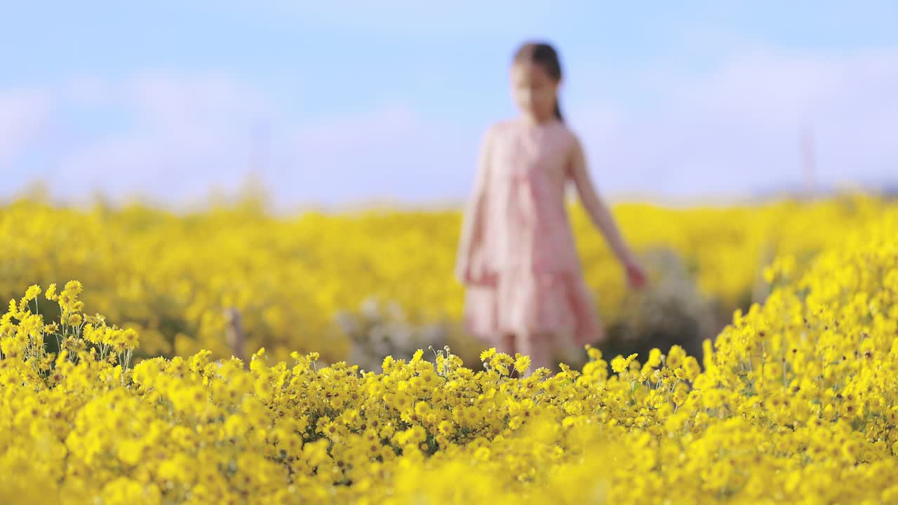 亚洲女孩在黄花中奔跑视频素材