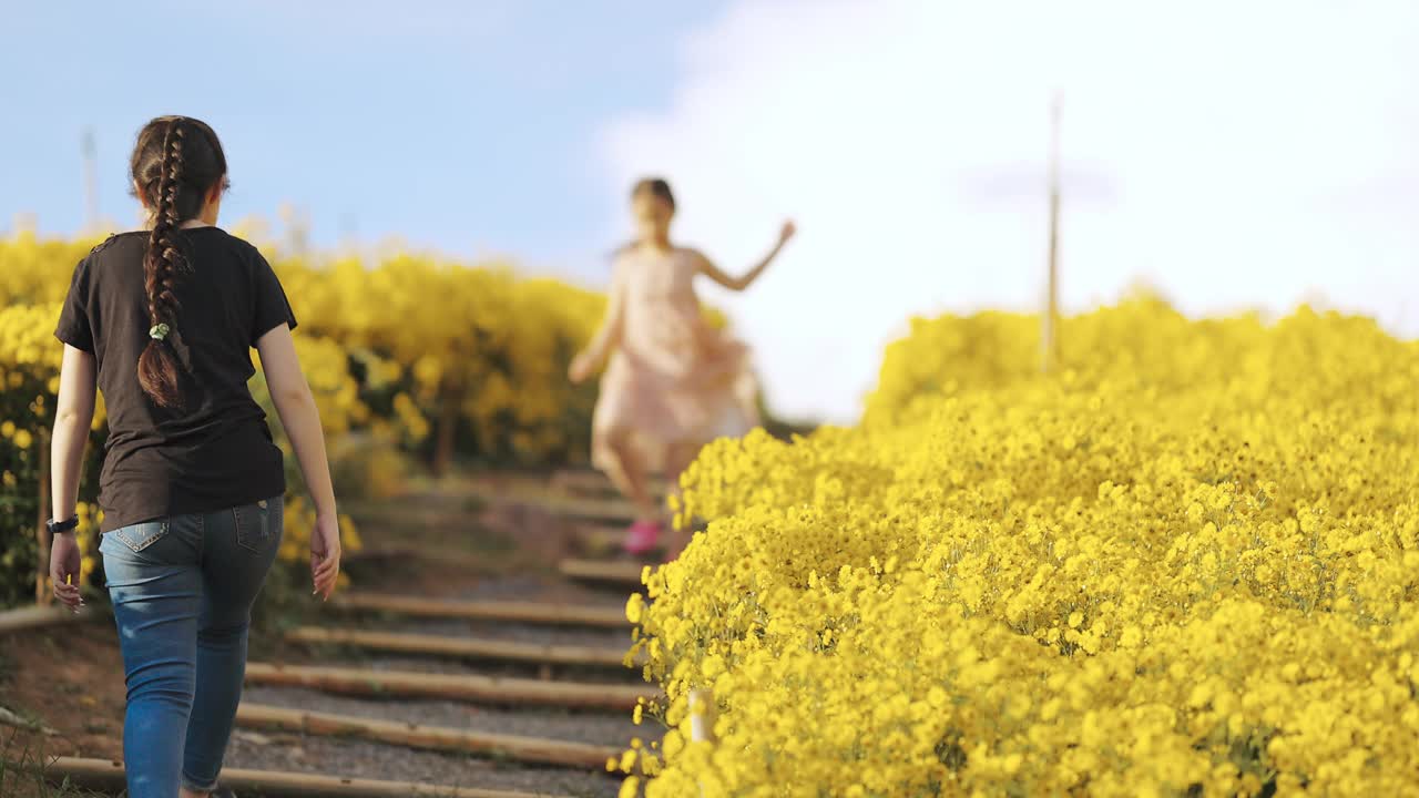 亚洲女孩走在黄花中视频素材