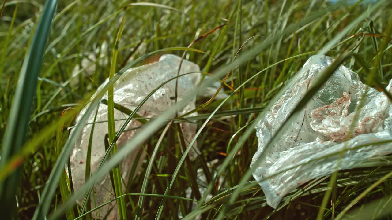 高高的草丛中，随风飘动的塑料袋视频素材
