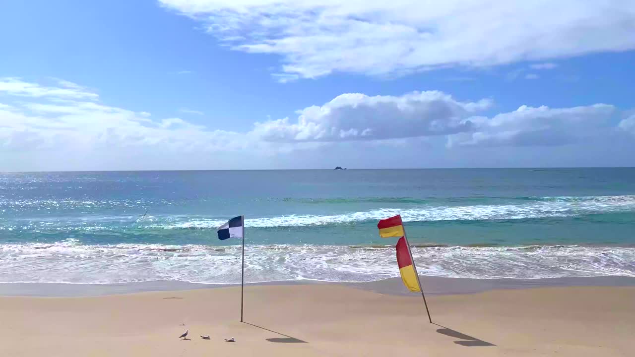 夏天在海滩旗帜之间游泳视频下载