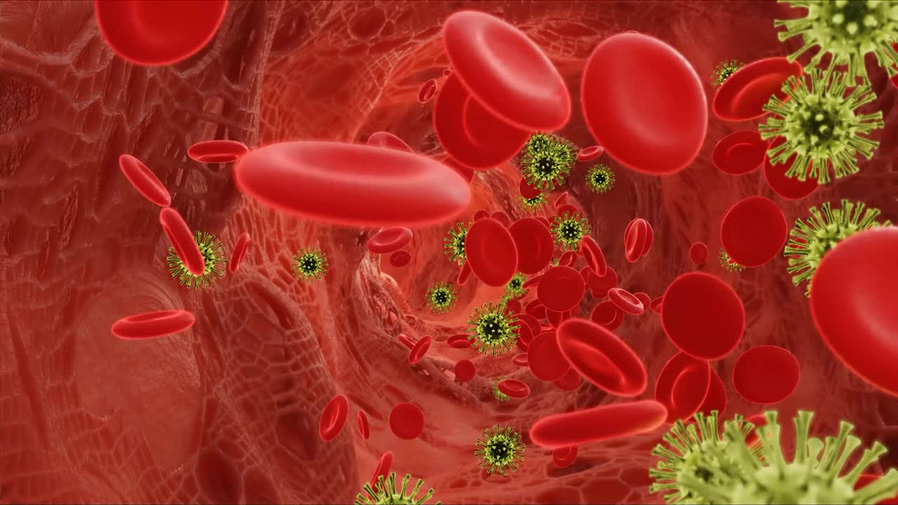 在动脉中与病毒一起流动的红细胞。三维视频视频下载