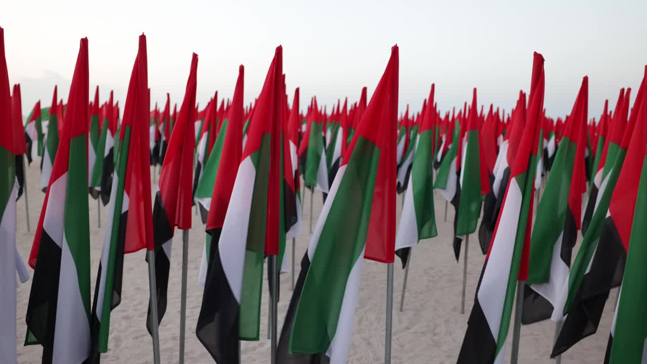 阿拉伯联合酋长国(UAE)的旗帜在风中飘扬视频素材