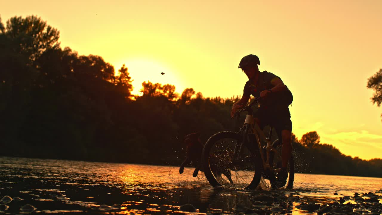 日落时分，山地车手和他的狗在河的浅水中溅起水花视频下载