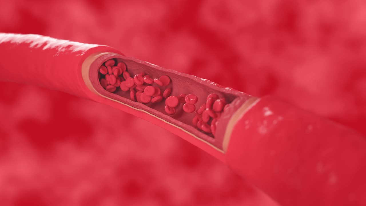 红血球在健康血管内流动，动脉横切面图。视频下载