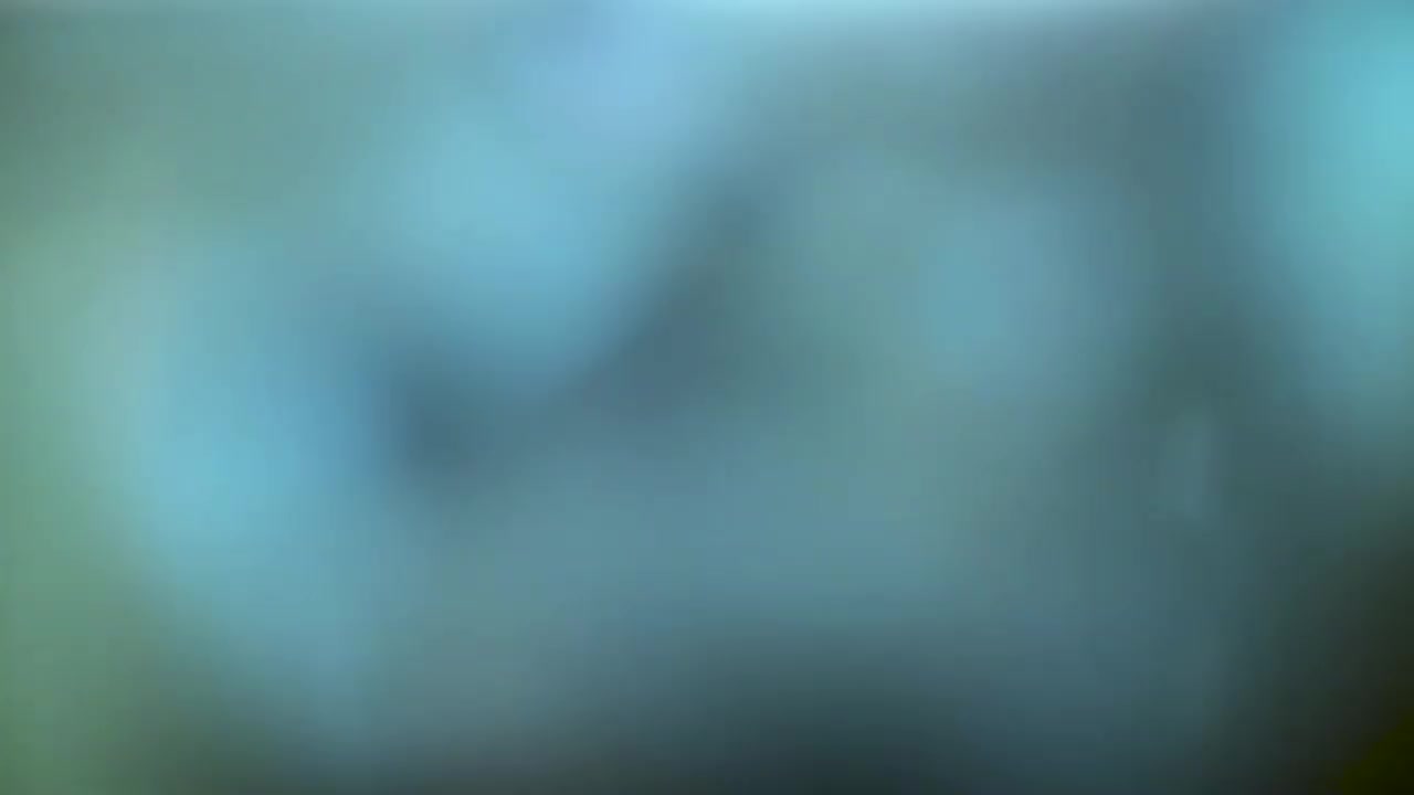 水族馆中孔雀鱼的模糊镜头视频素材