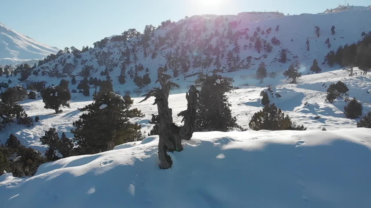 雪的风景视频素材