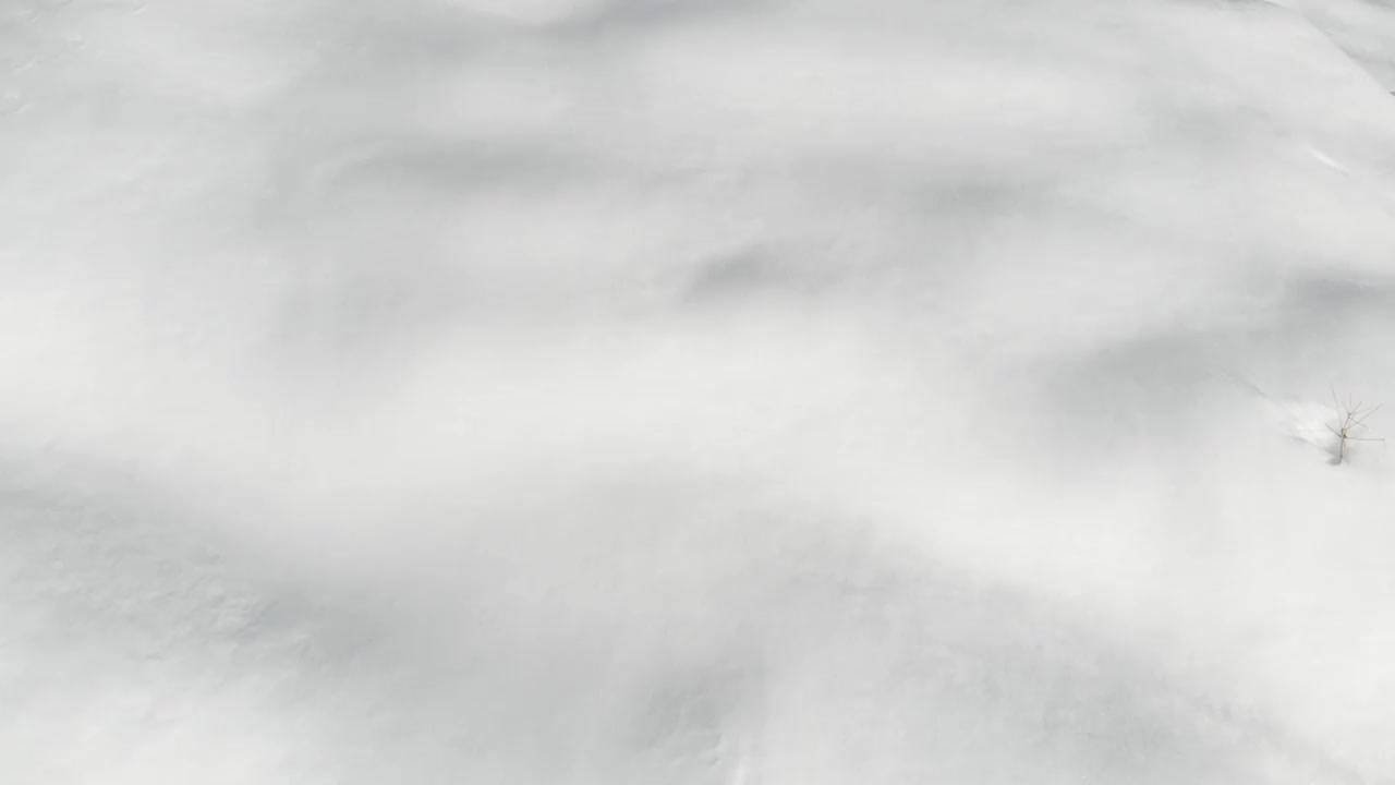 雪的风景视频素材