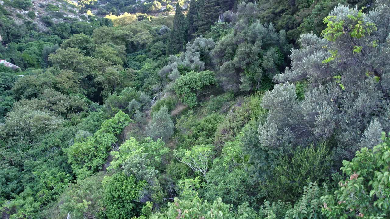 无人机从绿色的树林上升到一个宽阔的镜头与一个漂亮的山路在框架中，而晚阳光。视频下载