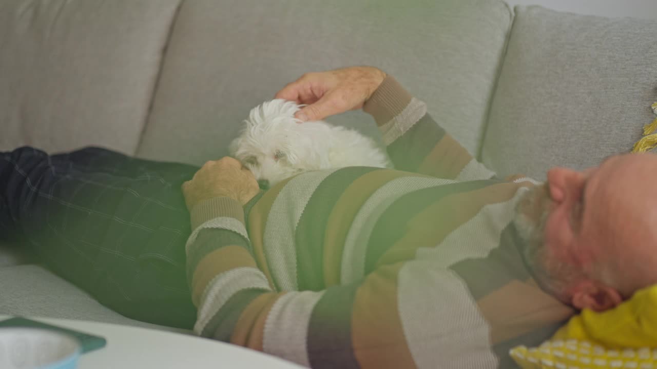 男人和他的小狗放松视频素材