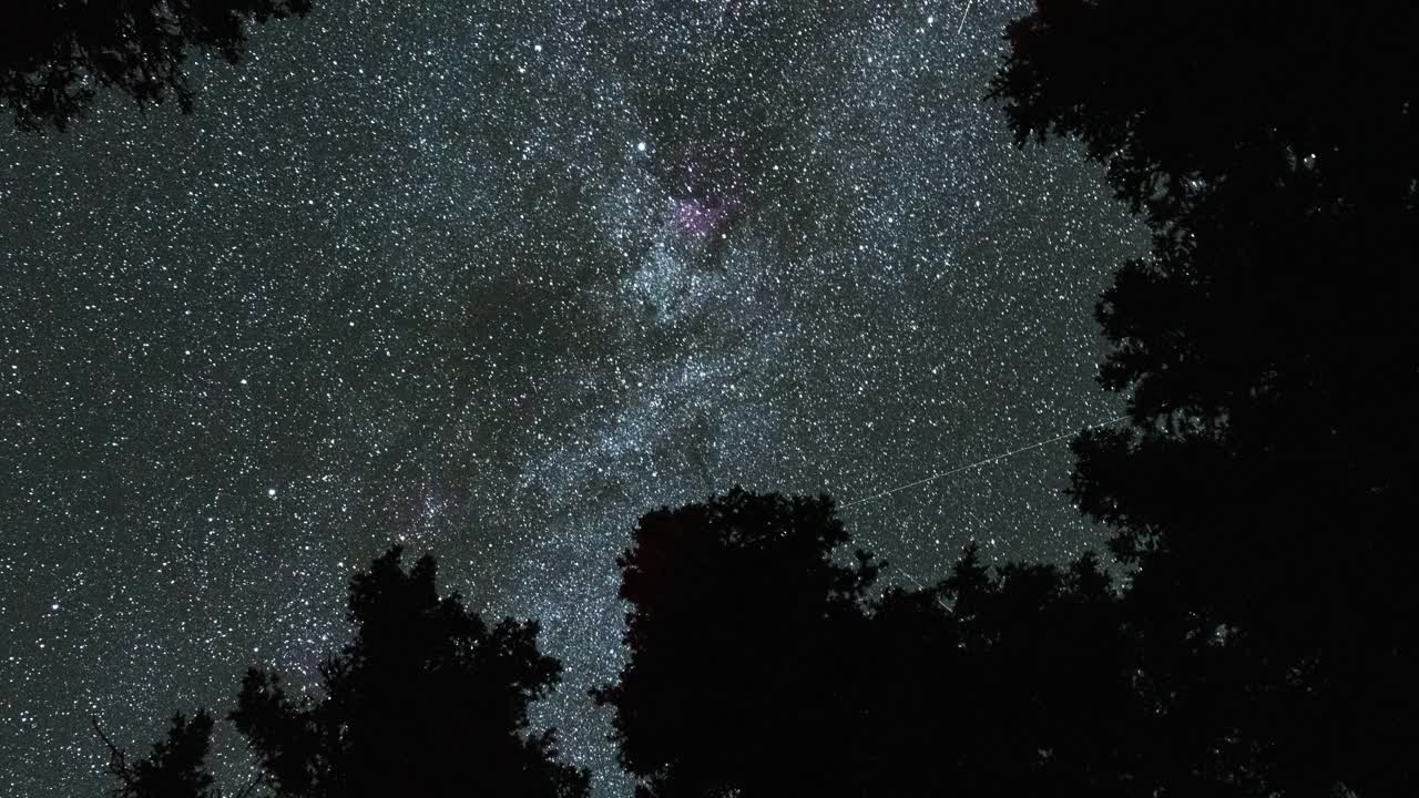 银河在夜晚穿过树林视频下载
