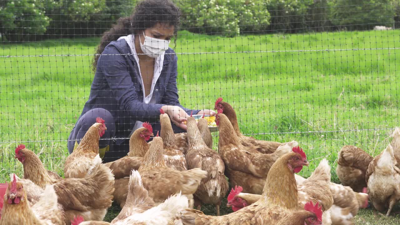 新冠疫情期间，一名棕色卷发妇女戴着口罩在她的农场喂鸡视频素材