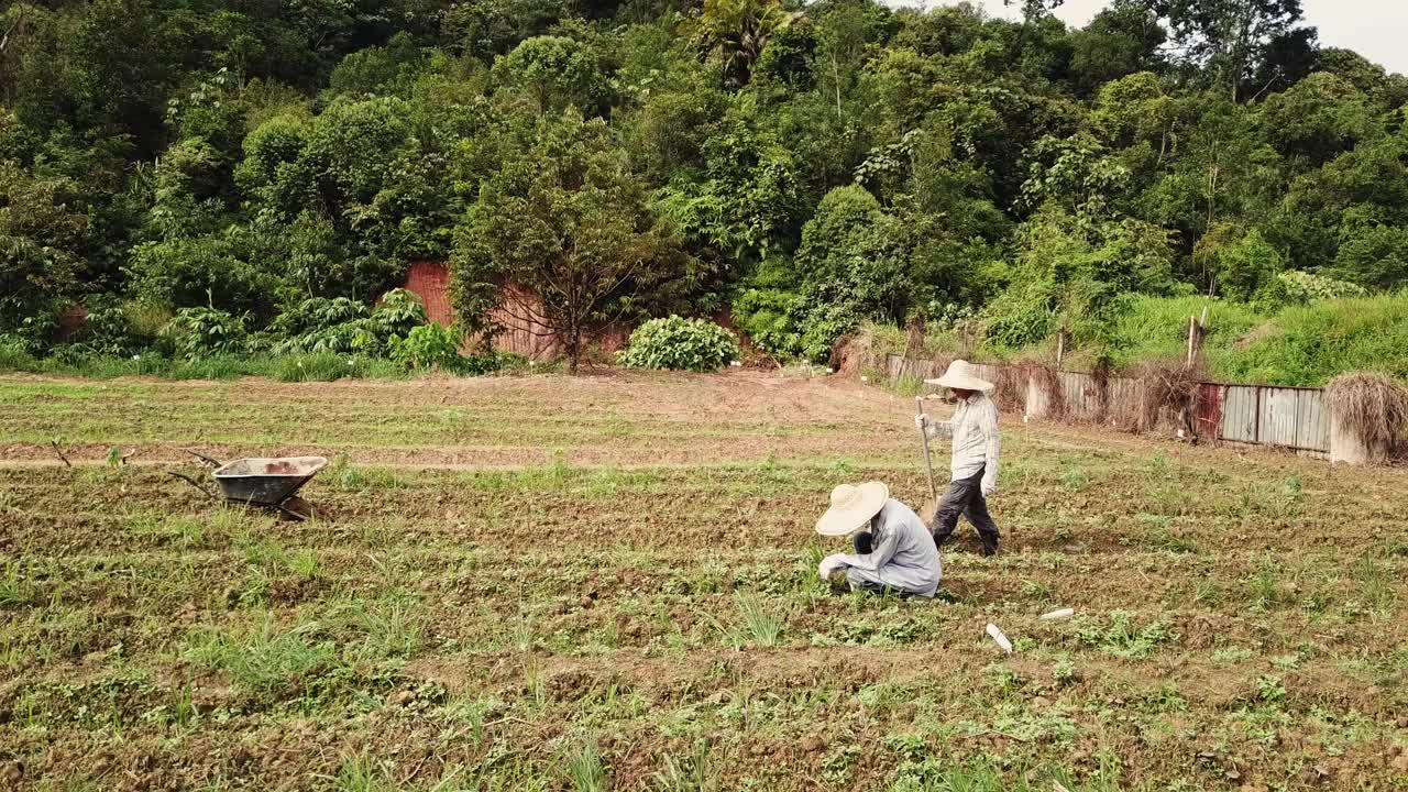一位老人和他的儿子早上在农场例行工作视频下载