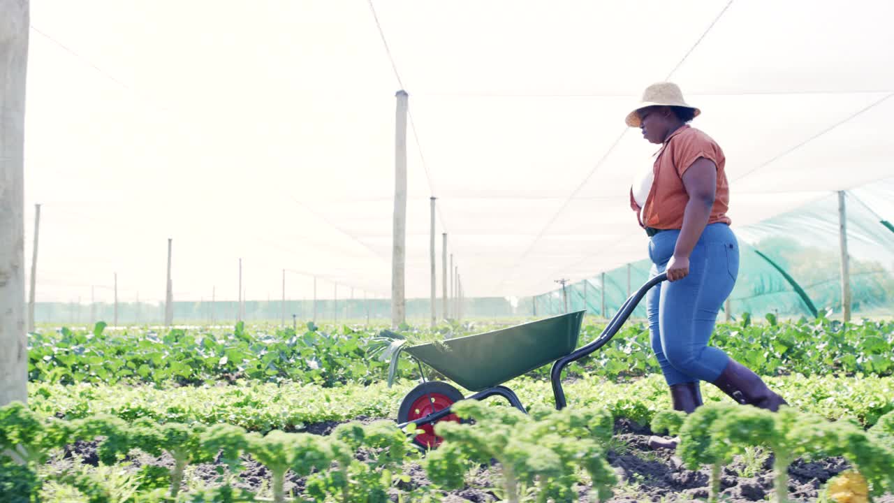 一个年轻女人推着手推车在农场干活的4k视频视频下载