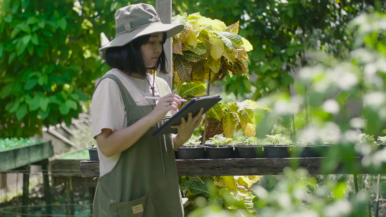 女性在农场用平板检查植物。视频下载