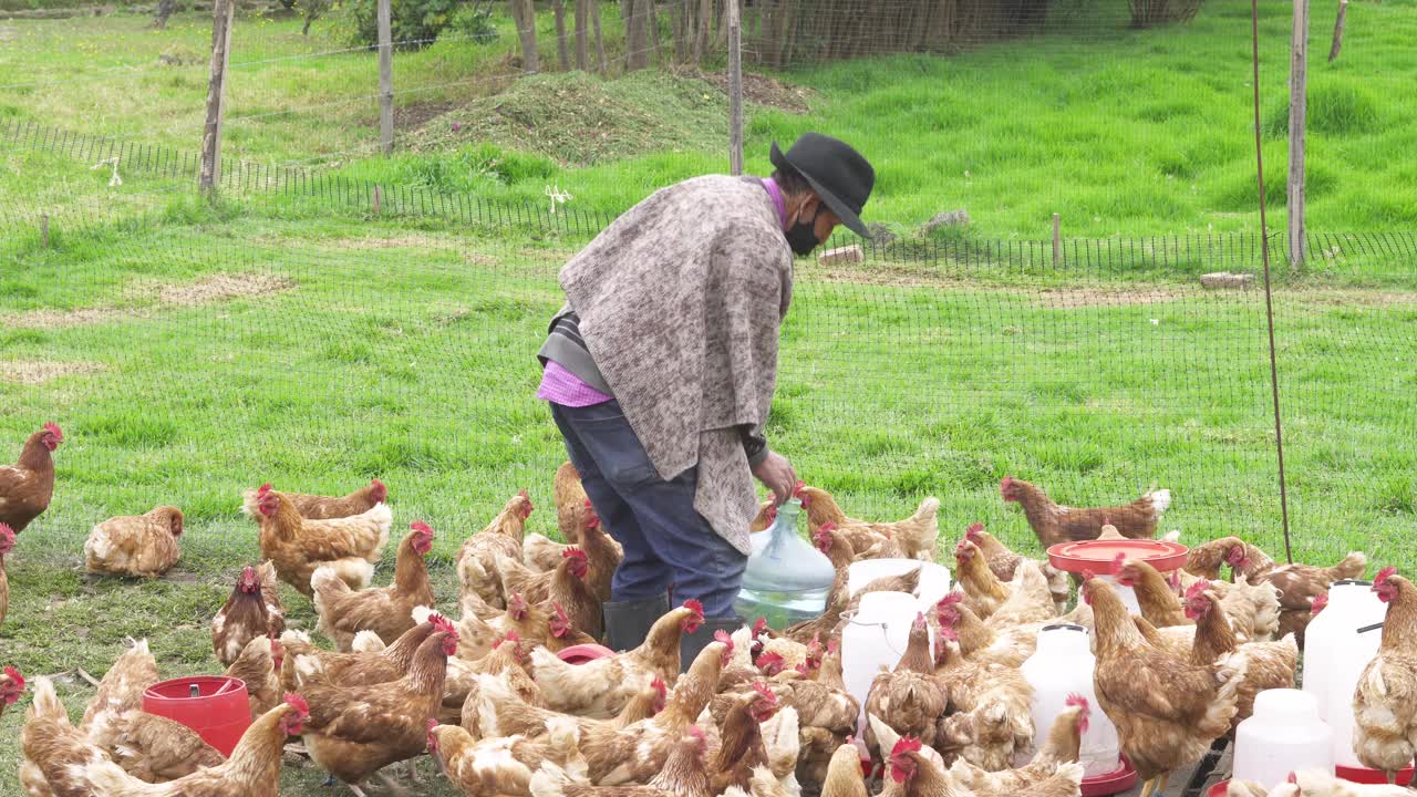 农民一边整理鸡舍，一边清洗饮水槽，同时戴着口罩，以避免COVID - 19视频下载