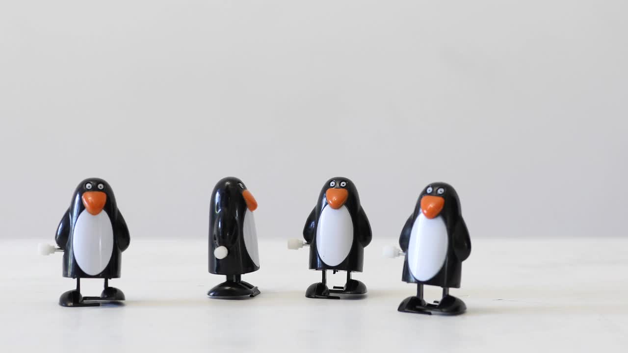 卷起来，塑料企鹅玩具放在白色的桌子上，还有复印的空间视频下载