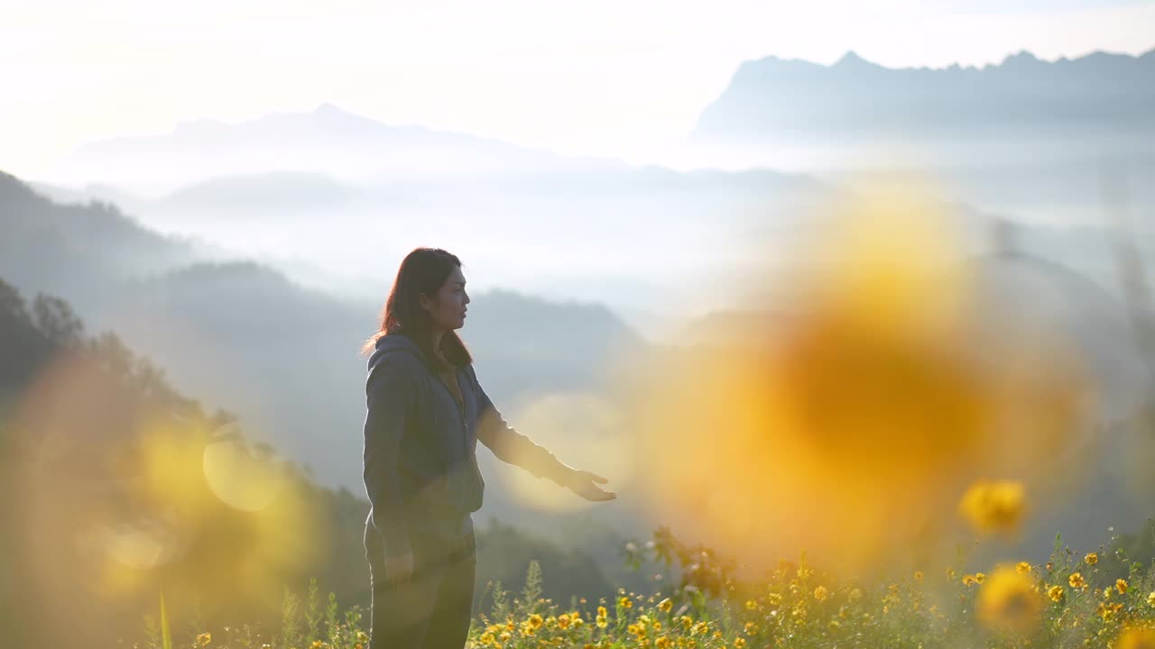 早晨，一名女子在山上做瑜伽视频素材